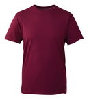 Anthem t-shirt - AM010