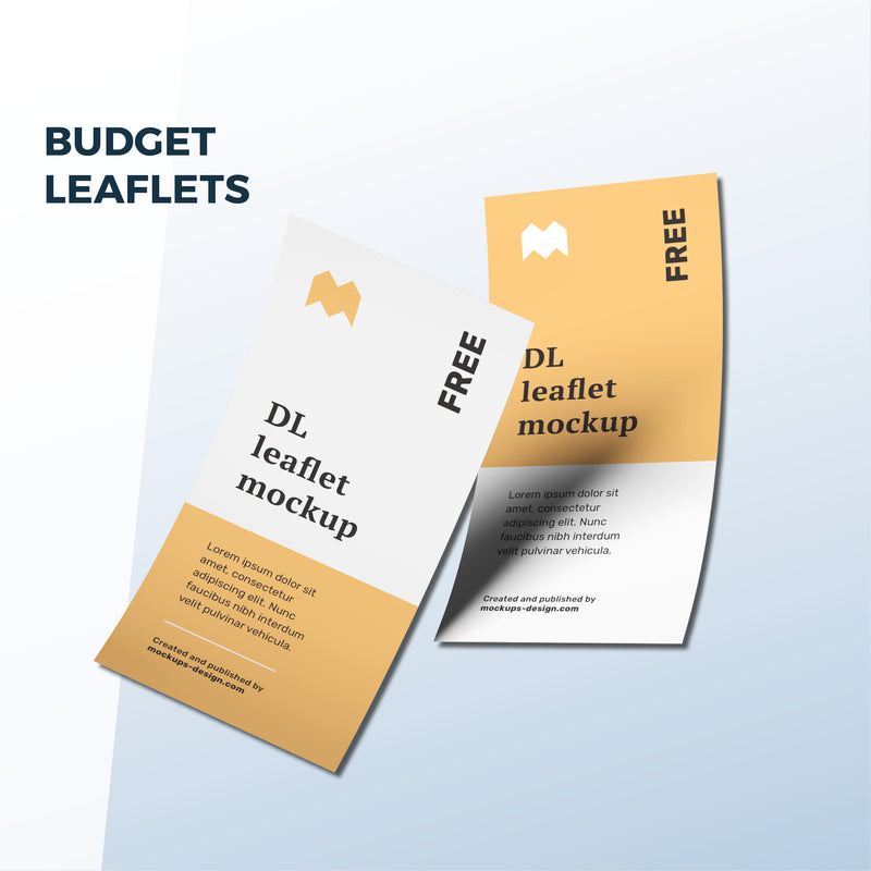 Budget Flyers