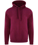 PRO RTX - Hoodie