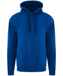 PRO RTX - Hoodie