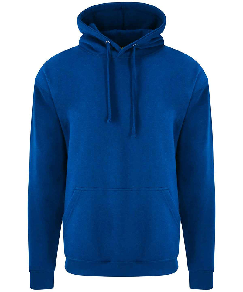 PRO RTX - Hoodie